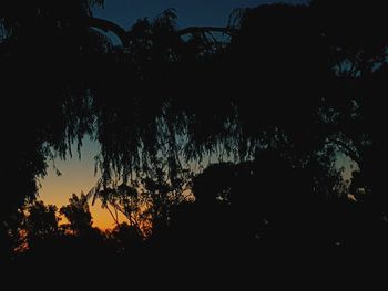 Low angle view of silhouette trees against sky at sunset