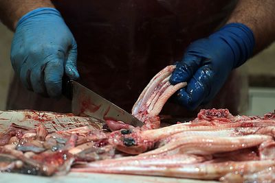 Midsection of person preparing food for sale