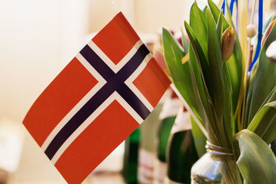 Close-up of red flag on plant at home