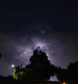 Low angle view of trees against sky at night