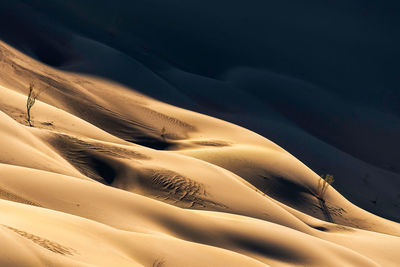 Close-up of sand dunes in desert
