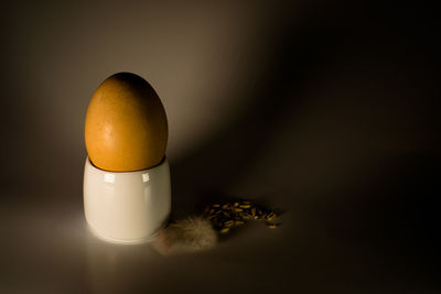 Close-up of egg by feather and seed on table