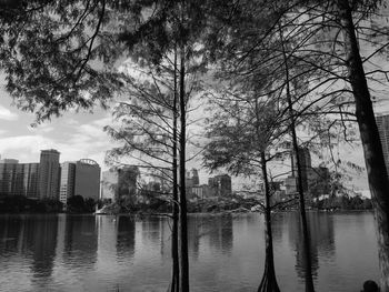 Reflection of trees and buildings in lake