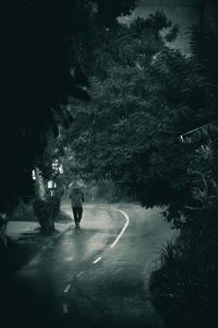 People walking on road at night