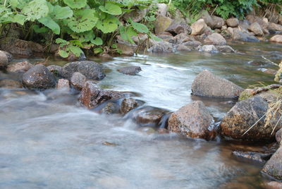 Stream flowing through rocks