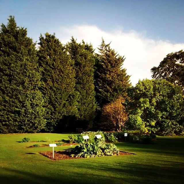 Cambridge University Botanic Garden