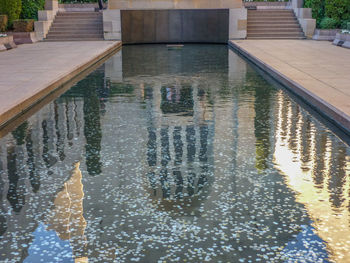 Reflection of man in swimming pool