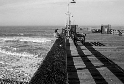 Pigeon on bridge over sea against sky during sunny day