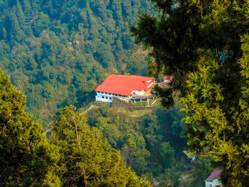 View of trees and buildings
