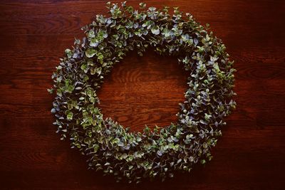 Directly above shot of flowering plants on table