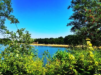 Scenic view of lake against clear blue sky