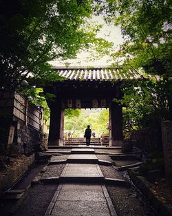 Rear view of man and woman walking on tree