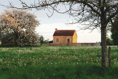 House on field by trees against sky