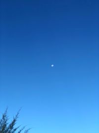 Low angle view of moon in blue sky