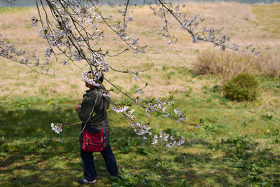 Rear view of man standing by tree