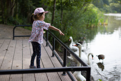 Rear view of girl and birds in lake