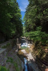 Stream flowing through a river