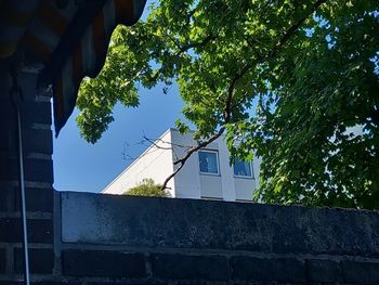 architecture