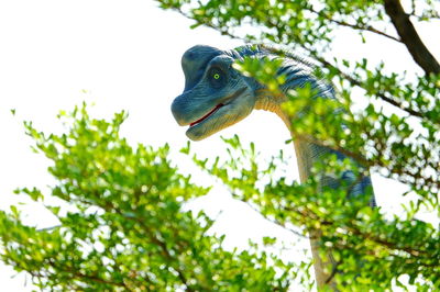 Low angle view of bird perching on branch