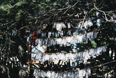 Low angle view of building hanging from tree