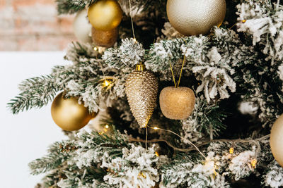 Close-up of christmas tree