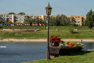 Street light in park