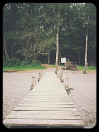 Walkway amidst trees