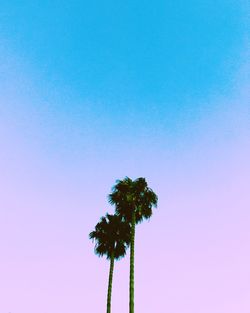 Low angle view of silhouette palm tree against clear sky