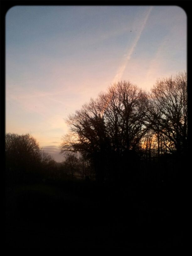 silhouette, sunset, bare tree, tree, transfer print, tranquility, tranquil scene, sky, scenics, beauty in nature, auto post production filter, landscape, nature, field, branch, sun, dusk, idyllic, no people, dark