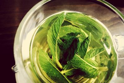 Glass of mint tea