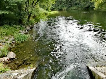 High angle view of river flowing in forest