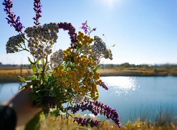 Close-up of flowering plant by lake against sky