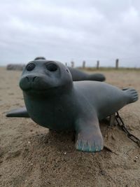 Close-up of tortoise on beach against sky