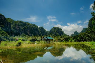 Scenic view of lake by trees against sky