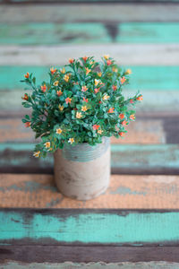 Close-up of potted plant on table