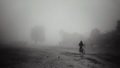 Man riding bicycle on road