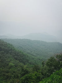 Scenic view of landscape during foggy weather