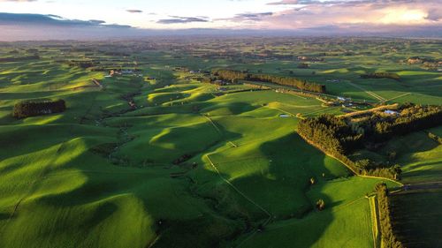 Aerial view of agricultural landscape