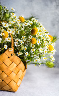 Close-up of yellow flowering plant in basket