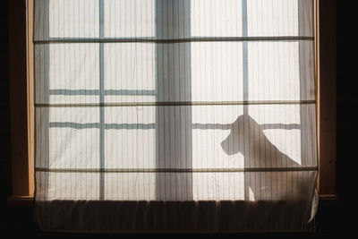 Shadow of curtain on window