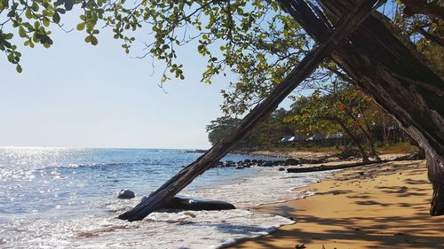 Scenic view of sea against clear sky