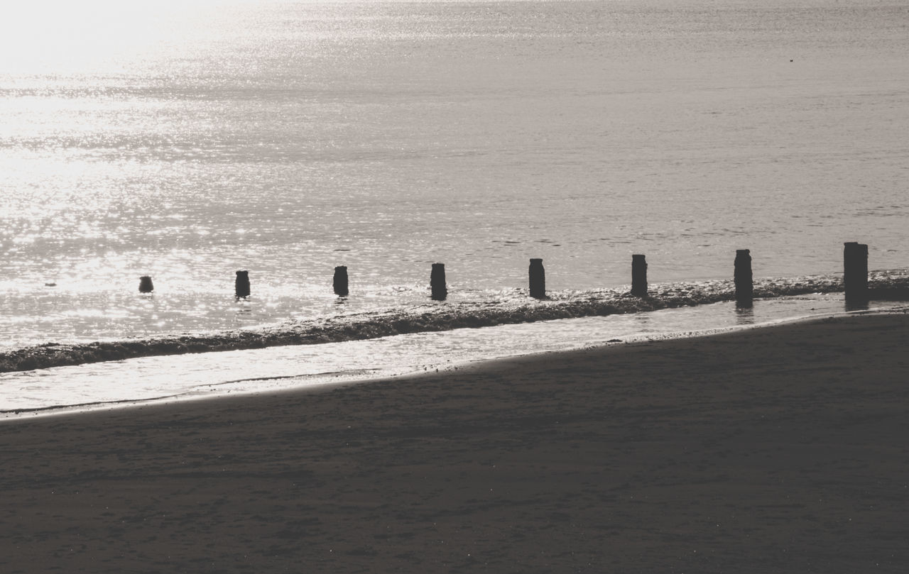 WOODEN POSTS IN SEA