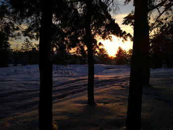 Silhouette trees on snowy landscape during sunset