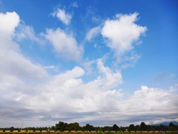 Low angle view of trees against blue sky