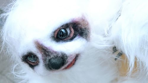 Close-up portrait of woman with white eyes