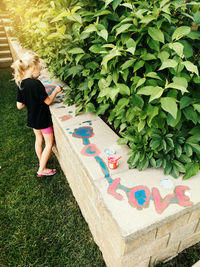 High angle view of girl standing against multi colored plants