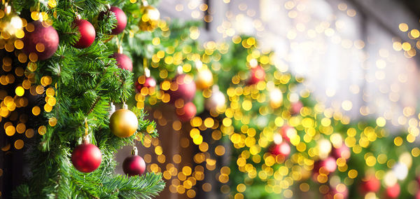 Close-up of christmas decoration hanging on tree