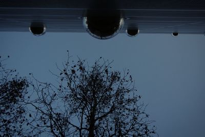 Low angle view of silhouette tree against sky at dusk