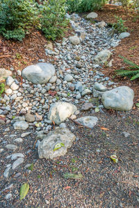 High angle view of bird on shore