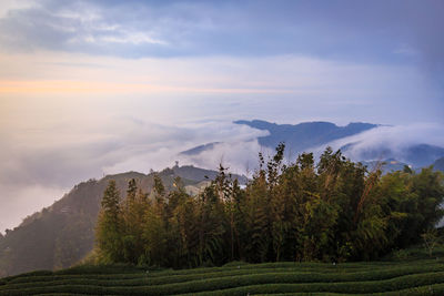 Scenic view of landscape against sky